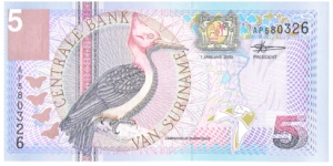 5 Gulden Banknote