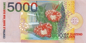Banknote from Suriname