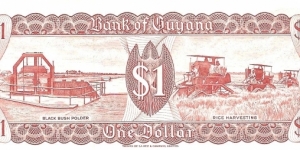 Banknote from Guyana