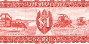 Banknote from Guyana