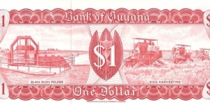 Banknote from Guyana