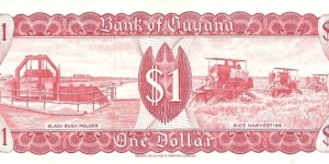 Banknote from Guyana