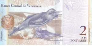 Banknote from Venezuela