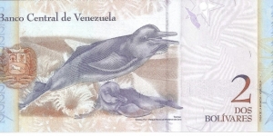 Banknote from Venezuela