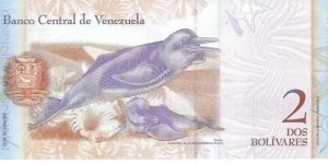 Banknote from Venezuela