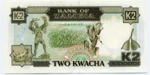 Banknote from Zambia