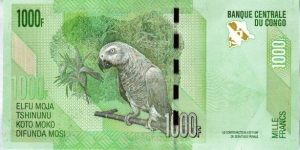 Banknote from Congo