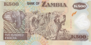 Banknote from Zambia