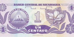 Banknote from Nicaragua