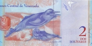 Banknote from Venezuela