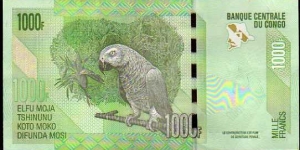 Banknote from Congo