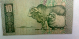 Banknote from South Africa