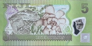 Banknote from Fiji