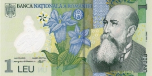 Romania 1 leu 2005, polymer Banknote