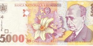 5000 Lei Banknote