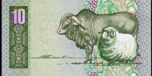 Banknote from South Africa