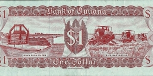 Banknote from Guyana