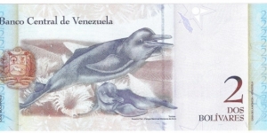 Banknote from Venezuela