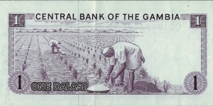 Banknote from Gambia