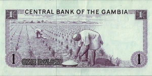 Banknote from Gambia