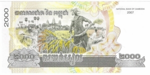 Banknote from Cambodia