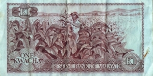 Banknote from Malawi