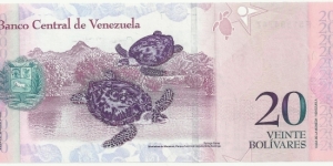 Banknote from Venezuela