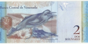 Banknote from Venezuela