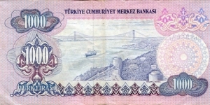 Banknote from Turkey