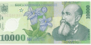 Romania 10000 Lei 2000 - Plastic Banknote