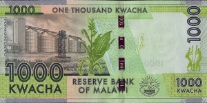 Banknote from Malawi