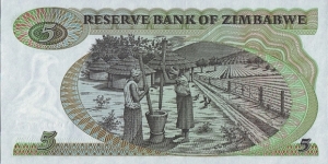 Banknote from Zimbabwe