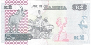 Banknote from Zambia