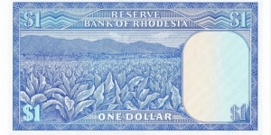 Banknote from Rhodesia