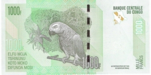 Banknote from Congo