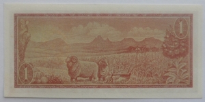 Banknote from South Africa