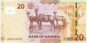 Banknote from Namibia