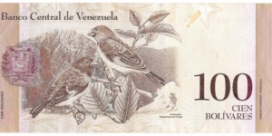 Banknote from Venezuela