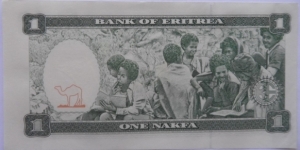 Banknote from Eritrea