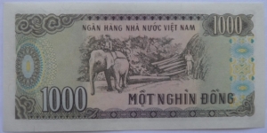 Banknote from Vietnam