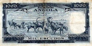 Banknote from Angola