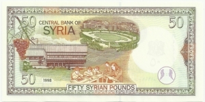 Banknote from Syria