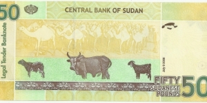 Banknote from Sudan