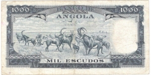 Banknote from Angola