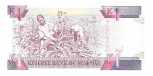 Banknote from Malawi