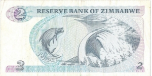 Banknote from Zimbabwe