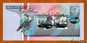 Banknote from Suriname