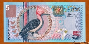 Suriname | 
5 Gulden, 2000 | 

Obverse: Red-necked Woodpecker, A map of Suriname, Coat of Arms, and A Vampire Bat | 
Reverse: Giant Granadilla, and Building of the Central Bank | 
Watermark: Building of the Central Bank | Banknote