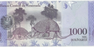 Banknote from Venezuela