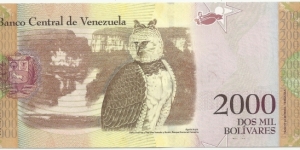 Banknote from Venezuela